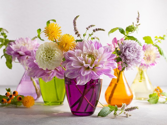 purple orange and green flower vases with purple flowers